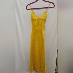 Runaway Dress NWT